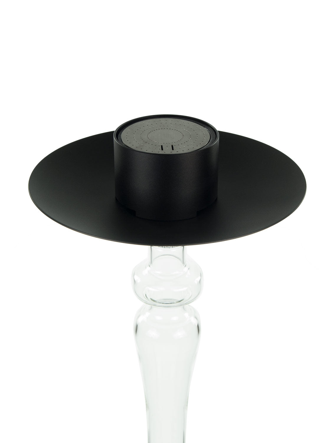 Steamulation Exclusive - The Black Leopard